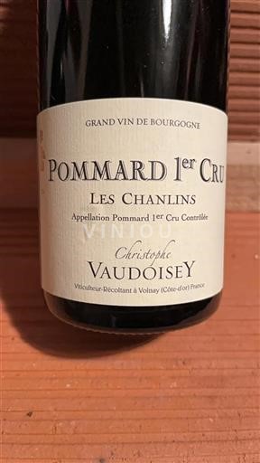 Burgundi Määrittelemätön Premier Cru Christophe Vaudoisey Les Chanlins 2022