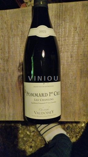 Borgogna Non specificato Premier Cru Christophe Vaudoisey Les Chanlins 2022