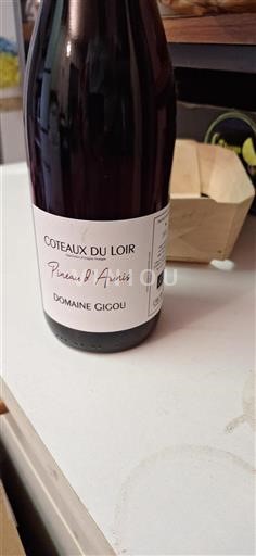 Thung lũng sông Loire Coteaux-du-Loir Domaine Gigou Pineau d'Aunis 2022