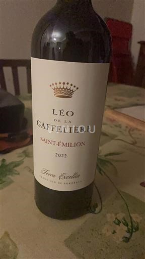 Bordeaux Saint-Émilion Leo de la Gaffeliere 2022