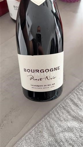 Bourgogne Vignerons de Bel-Air 2022
