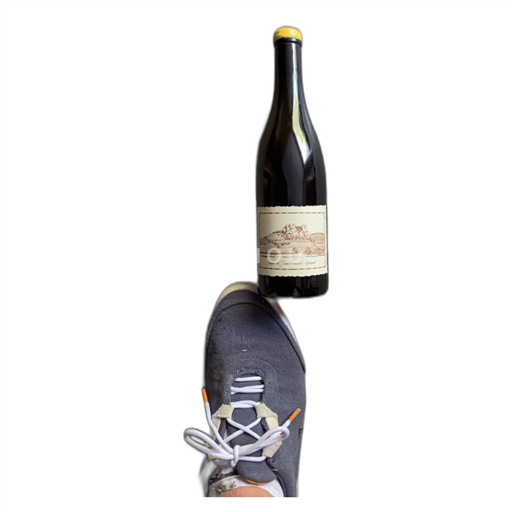 Vin Blanc sec Les cedres Aime et jean francois ganevat 2018 France Jura Côtes-du-jura AOC bio
