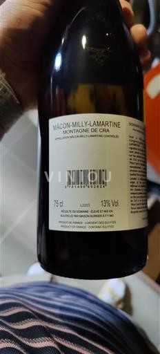Borgoña Mâcon y Mâcon-villages Domaine La Rochelle Milly-Lamartine 2022