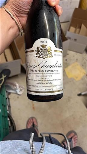 Borgogna Gevrey-Chambertin Premier Cru Joseph Roty Les Fontenys 2004