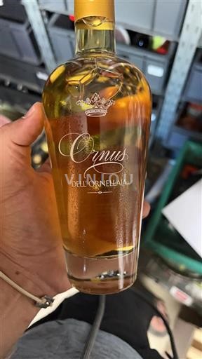 Tuscany Not Specified Dell'Ornellaia Ornus Non-Vintage