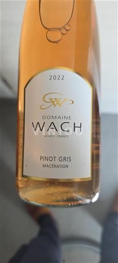 Alsasko Nespecifikováno Grand Cru Domaine Wach Pinot Gris Macération 2022