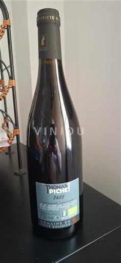 Valle del Loira Bourgueil Domaine Petit Bondieu 2022