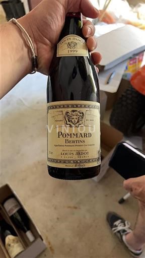 Burgund Pommard Premier Cru Louis Jadot Bertins 1999
