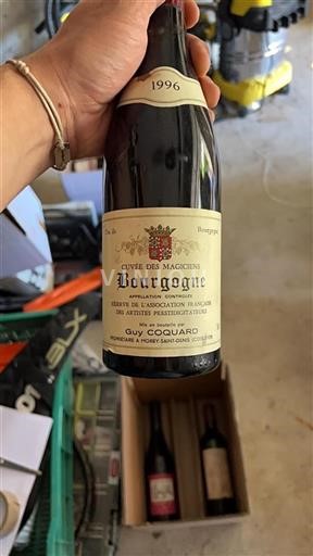Borgoña Guy Coquard des Magiciens 1996