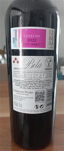 Castille et León Ribera del Duero Bela 2022