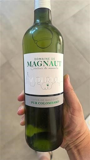 Sud-Ovest Côtes de Gascogne Domaine Magnaut 2024