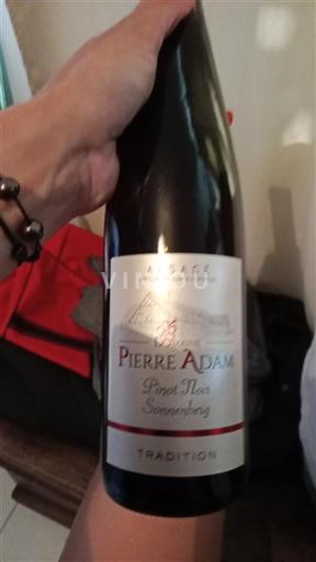Vin Rouge sec Domaine Pierre Adam Non millésimé France Alsace Vin de France