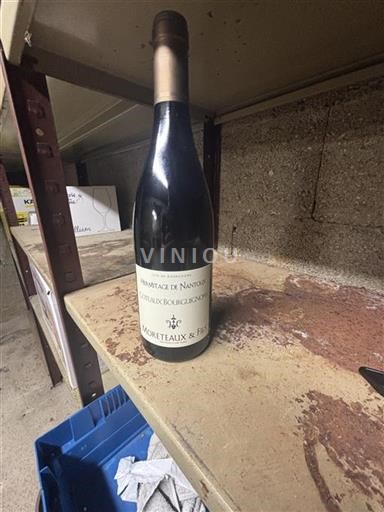 Borgogna Coteaux borgognoni Moreteaux & Fils Hermitage de Nantoux Senza annata
