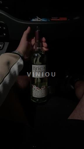 Piemont Langhe Marchesi di Barolo Bric Amel 2023