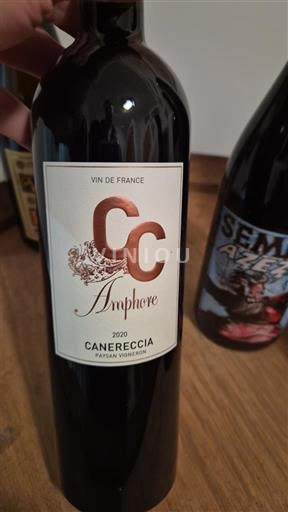 Corse Không được chỉ định Canereccia Amphore 2020