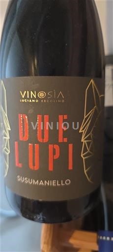 Puglia Niet gespecificeerd Vinosia Due Lupi 2021