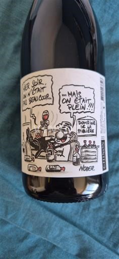 Loire-dalen Chinon Domaine La Sablière 2023