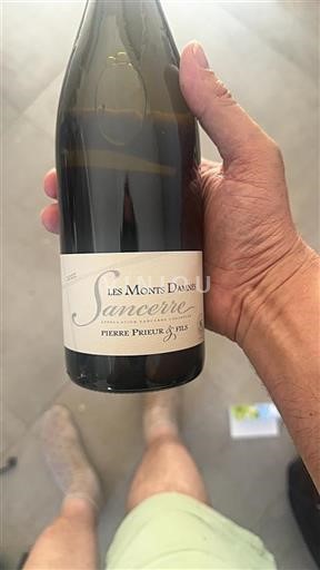 Valle del Loira Sancerre Pierre Prieur & Fils Les Monts Damnés 2022