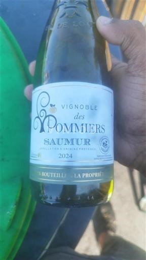 Loirevallei Saumur Vignoble des Pommiers 2024