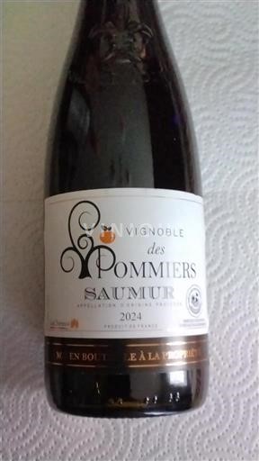 Thung lũng sông Loire Saumur Vignoble des Pommiers 2024