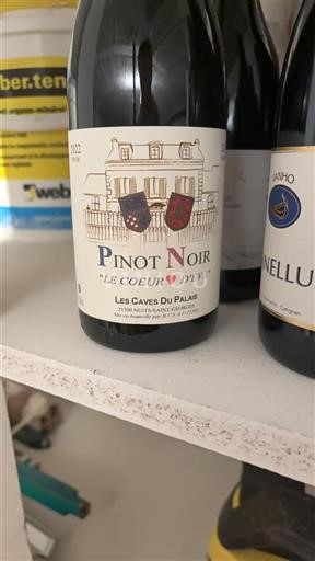 Burgundsko Nuits-saint-georges Les Caves Du Palais Le Coeur d'Éva 2022