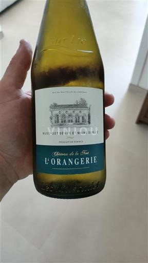 Loirevallei Muscadet-Sèvre-et-Maine Château La Noë L'Orangerie 2023