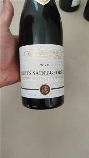 Borgonha Nuits-Saint-Georges Domaine Dupasquier & Fils 2022