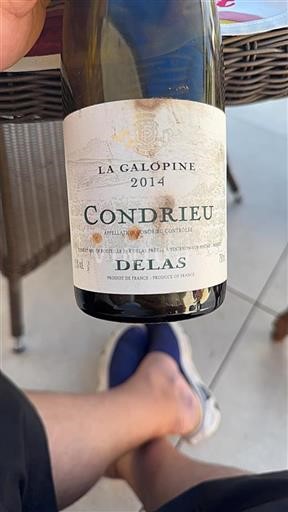 Rhônetal Condrieu Delas La Galopine 2014