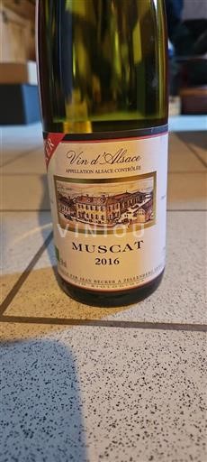Alsace Grand Cru Jean Becker Muscat 2016