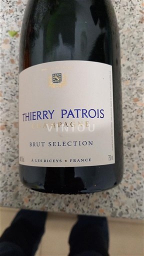 Champanhe Thierry Patrois Brut Selection Não Sazonado