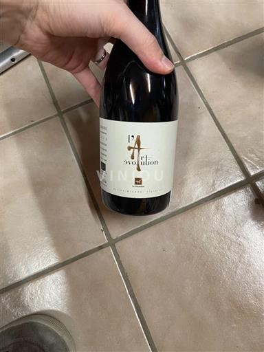 Rhônedalen Vacqueyras La Monardière L'Art Évolution 2013