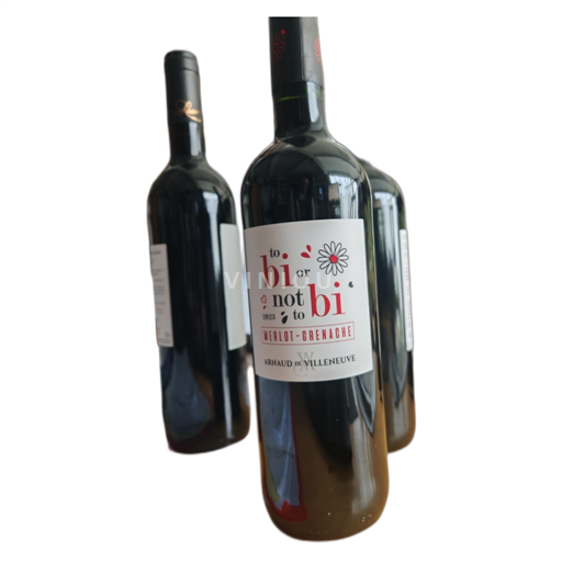 Languedoc and Roussillon Côtes Catalanes Arnaud de Villeneuve to Bi or not to Bi 2023