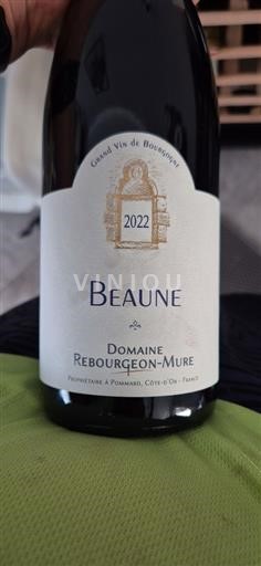 Bourgogne Beaune Domaine Rebourgeon-Mure 2022
