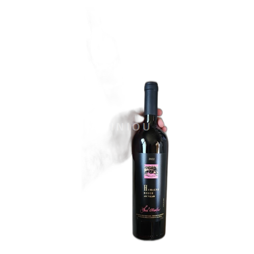 Vin Rouge sec Gab. Musfal Adrian & Diego Mathier Nouveau Salquenen 2022 Suisse Valais Humagne Rouge AOC