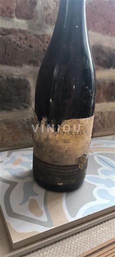 Bourgondië Niet gespecificeerd Fouleur Pinot Noir 2013