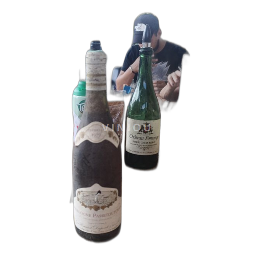 Burgundsko Bourgogne-passetoutgrain Guillemard Dupont et ses fils 1979