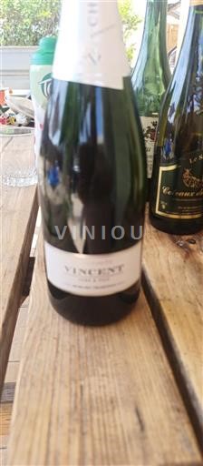 Champaña Champán Vincent Sin añada