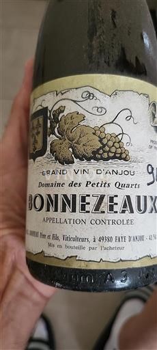 Loiretal Bonnezeaux Domaine Des Petits Quarts 1994