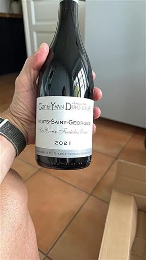 Burgundija Nuits-Saint-Georges Domaine Guy & Yvan Dufouleur Les Creux-Fraîches Eaux 2021