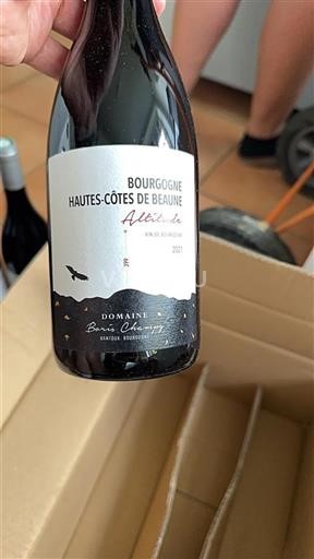 Burgund Hautes Côtes de Beaune Domaine Boris Champy Altitude 2021