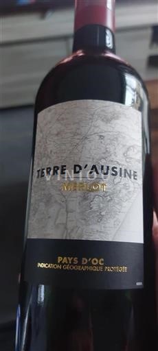 Languedoc-Roussillon Pays d'Oc Terre Ausine Merlot Non-Vintage