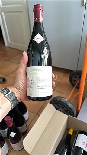 Burgundi Määrittelemätön Domaine Michel Gros Fontaine Saint Martin Monopole 2022