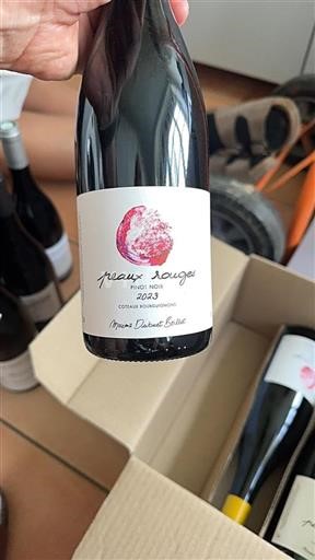 Bourgogne Bourgognebackar Maxime Dubuet Boillot Peaux Rouges 2023