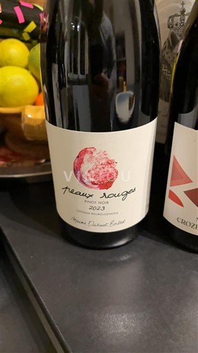 Burgundia Dealurile Burgundiei Maxime Dubuet Boillot Peaux Rouges 2023