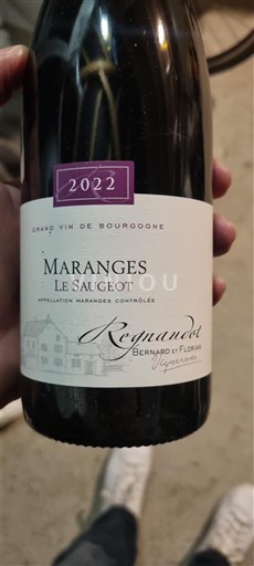 Bourgogne Maranges Regnaudot Le Saugeot 2022