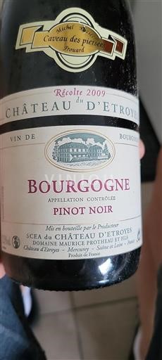 Borgoña Château Etroyes 2009