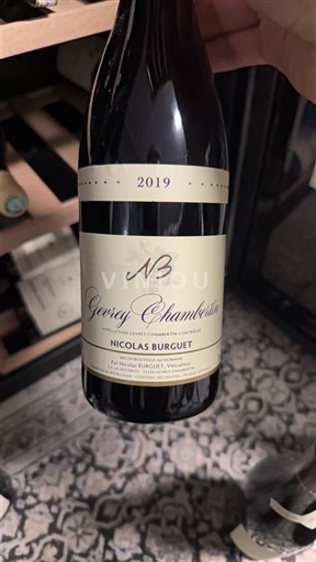 Bourgogne Gevrey-chambertin Nicolas Burguet 2019