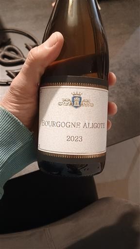 Bourgondië Bourgogne Aligoté Inconnu 2023