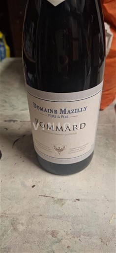 Borgoña Pommard Premier Cru Domaine Mazilly Père & Fils 2017