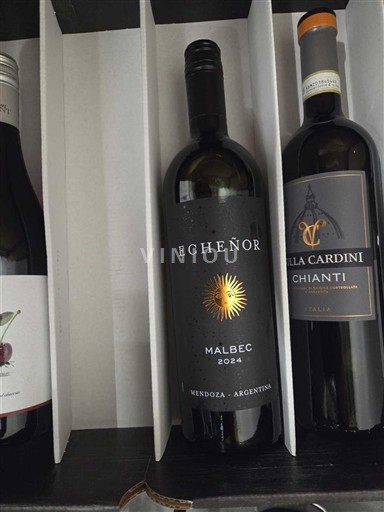 Mendoza Nespecificat Echenor 2024